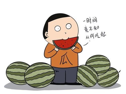 吃瓜最后变英文,一场文化碰撞之旅
