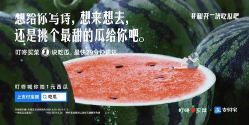 吃瓜文案长篇,揭秘娱乐圈那些鲜为人知的幕后故事