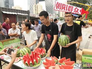 朝阳热心吃瓜群众,揭秘街头巷尾的热辣话题