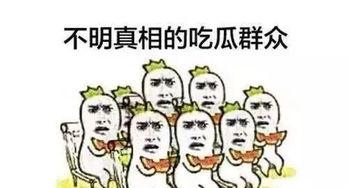 吵架时吃瓜,一场激烈辩论背后的趣味瞬间