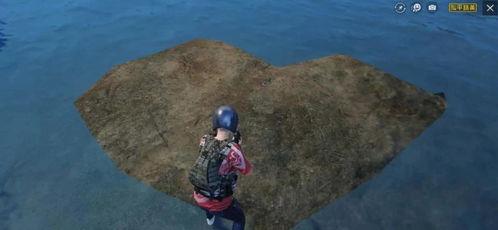 吃鸡沙漠的瓜,探寻绝地求生：沙漠中的神秘果实