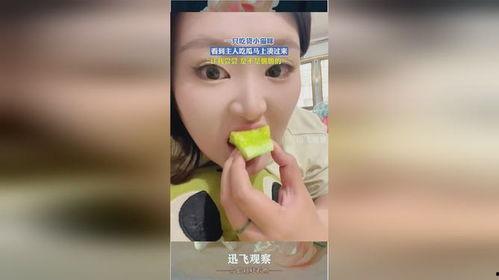 小咪的吃瓜,揭秘娱乐圈幕后故事