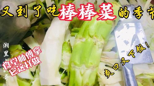 香草老师吃瓜,揭秘娱乐圈幕后故事