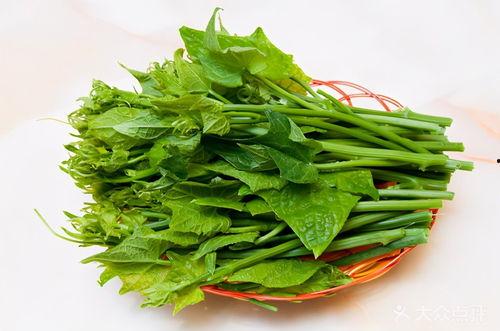 捧瓜尖怎么吃,探索捧瓜尖的独特美味