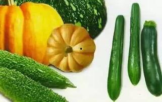 阿奶吃瓜,田园时光里的甜蜜滋味