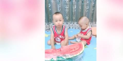 吃瓜娃娃的比拼,萌宠界的美食盛宴