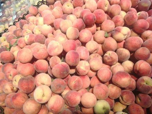 小豪吃鑫瓜,小豪的鑫瓜美食之旅