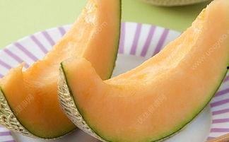 冬天吃的哈密瓜,哈密瓜的冬日美味之旅